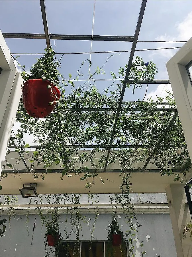 הו צ'י מין סיטי Hello Saigon Homestay 2*, הו צ'י מין סיטי