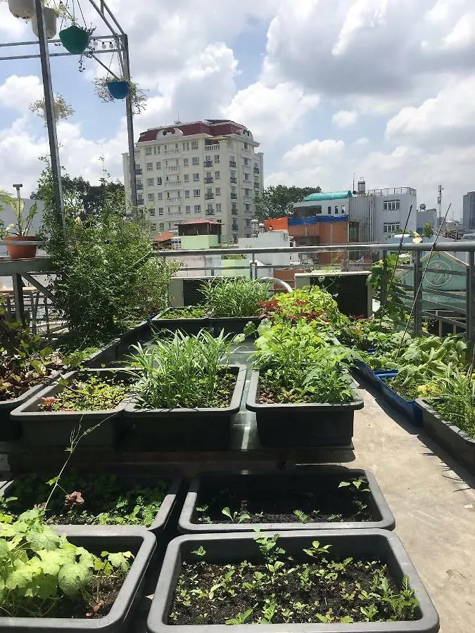 Gasthof Hello Saigon Homestay Ho-Chi-Minh-Stadt